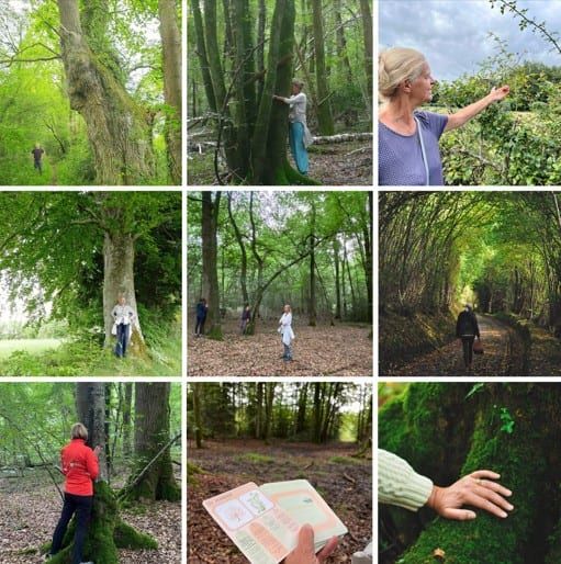 Mosaïque de neuf photos de bains de forêt : marche entre les arbres, dos contre un tronc, cartes illustrées