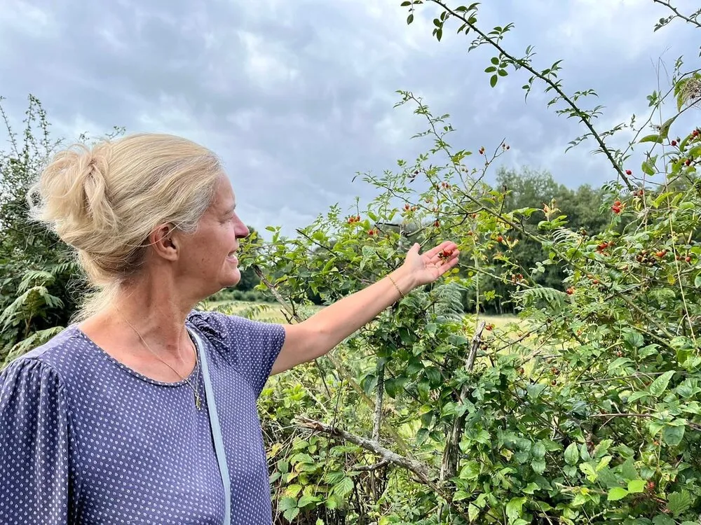 Christine den Boer cueillant des cynorrhodons sur un chemin
